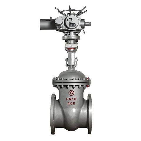 Задвижка стальная 30с941нж DN 600 PN 16 фланцевая под привод тип Г, класс ''А'' L=800мм САЗ АВАНГАРД купить в Самаре | "Проконсим"
