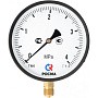 Манометр Росма ТМ-610Р 4,0 МПа /40 ат 150мм G1/2'' купить в Самаре | "Проконсим"