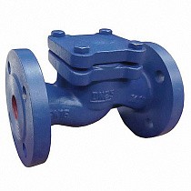 Клапаны обратные подъемные DN 15-200 PN 16 чугунные фланцевые до 250гр. АСТА ОК113 купить в Самаре | "Проконсим"