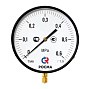 Манометр Росма ТМ-810Р.00 котловый, 250мм, 0-60кгс/см2, резьба M20x1,5, радиальный, класс точности 1,5 купить в Самаре | "Проконсим"