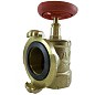 Клапан пожарный латунный КПАЛ DN 50 PN 16 угловой 90гр. муфта-соединительная головка Апогей купить в Самаре | "Проконсим"