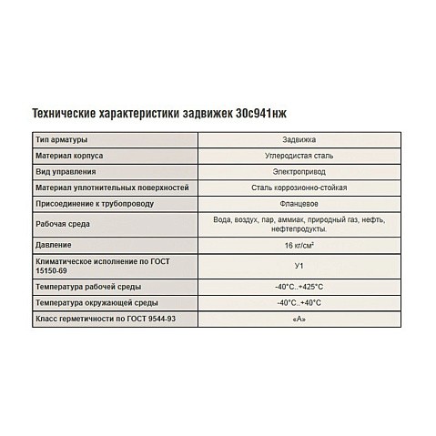 Задвижки стальные 30с941нж DN 50-1200 PN 16 фланцевые под электропривод САЗ АВАНГАРД купить в Самаре | "Проконсим"