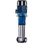 Насос многоступенчатый вертикальный CNP CDM10-1FSWPR 0,75 кВт 3х220В/3х380В чугун фланцевый DN 40 PN 25 120гр. купить в Самаре | "Проконсим"