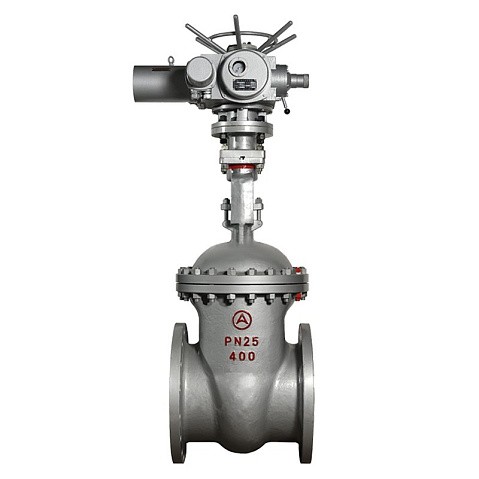 Задвижка стальная 30с964нж DN 600 PN 25 фланцевая под привод тип Г, класс ''А'' L=800мм САЗ АВАНГАРД купить в Самаре | "Проконсим"