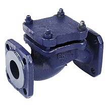Клапаны обратные 16кч9нж подъёмные DN32-80 PN25 нержавеющая сталь фланцевые до 300гр. ЛУИДОР купить в Самаре | "Проконсим"