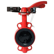 Затворы чугунные дисковые DN 50-250 PN 16 межфланцевые с концевиками и чугунным диском рычаг РАШВОРК купить в Самаре | "Проконсим"
