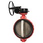 Затвор дисковый поворотный DN 500 PN 16 межфланцевый с диском из чугуна уплотнение-EPDM редуктор Рашворк 200 купить в Самаре | "Проконсим"