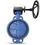 Затвор дисковый поворотный DN 350 PN 16 чугунный с диском из нержавеющей стали межфланцевый редуктор FAF 3500350D купить в Самаре | "Проконсим"
