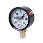 Манометр Росма ТМ-210Р.00 газовый, 50мм, 0-1,6МПа, резьба M12x1,5, радиальный, класс точности 2. купить в Самаре | "Проконсим"