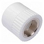 Муфта комбинированная ПП 110-4" PN 25 под ключ с внутренней резьбой белая РТП купить в Самаре | "Проконсим"