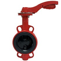 Затворы чугунные дисковые DN 50-100 PN 16 с электроприводом 24В и чугунным диском РАШВОРК купить в Самаре | "Проконсим"