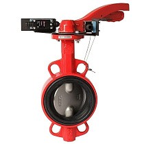 Затворы чугунные дисковые DN 50-250 PN 16 межфланцевые с концевиками диск из нержавеющей стали рычаг РАШВОРК купить в Самаре | "Проконсим"