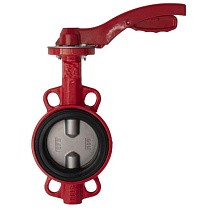 Затворы поворотные дисковые DN 40-250 PN 16 межфланцевые с чугунным диском рычаг Рашворк 200 купить в Самаре | "Проконсим"