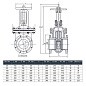 Задвижка чугунная 30ч6бр DN 50 PN 16(10) фланцевая параллельная ЛМЗ Семенов купить в Самаре | "Проконсим"
