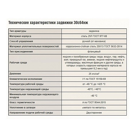 Задвижки стальные 30с64нж DN 50-300 PN 25 фланцевые САЗ АВАНГАРД купить в Самаре | "Проконсим"