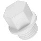 Заглушка резьбовая ПП 20-3/4'' PN 25 с наружной резьбой белая РТП 10556 купить в Самаре | "Проконсим"